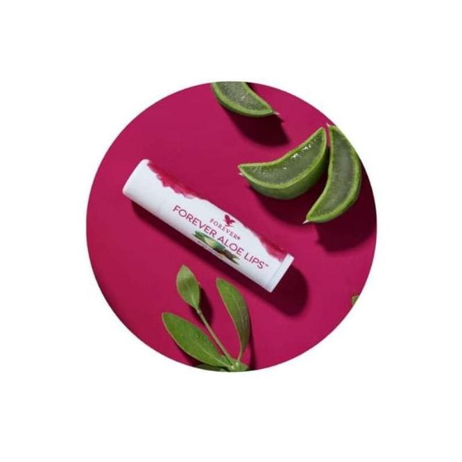 Wobei hilft Aloevera